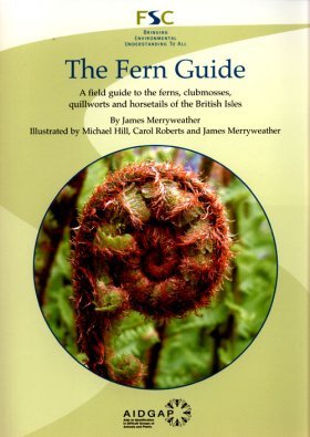 The Fern Guide (Paperback)