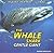 The Whale Shark: Gentle Giant