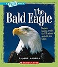 The Bald Eagle