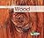 Wood (Materials)