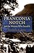 Franconia Notch and the Women Who Saved It (Revisiting New England: The New Regionalism)
