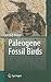 Paleogene Fossil Birds