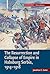The Resurrection and Collapse of Empire in Habsburg Serbia, 1914–1918: Volume 1 (Cambridge Military Histories)
