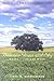 Between Grass And Sky: Wher...