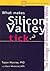What Makes Silicon Valley Tick?