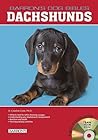 Dachshunds (B.E.S. Dog Bibles Series)