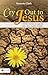 Cry Out to Jesus