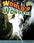 World's Wonders: Landforms (Raintree Fusion: Social Studies)