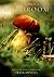 The Glorious Mushroom