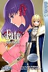 Fate/stay night, Vol. 7