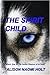 The Spirit Child (The Seven Realms of Ar'rothi, #1) by Alison Naomi Holt