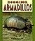 Digging Armadillos (Pull Ahead Books ― Animals)