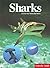 Sharks