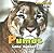Pumas: Lone Hunters (Dangerous Cats)