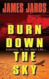Burn Down the Sky: A Gripping Post-Apocalyptic Thriller – A Mother's Fight to Save Her Child