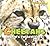 Cheetahs: World's Fastest Cats (Dangerous Cats)