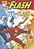 Ice and Flame (DC Super Heroes: The Flash)