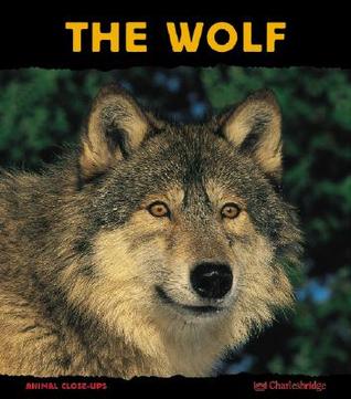 The Wolf: Night Howler (Animal Close Ups)