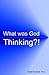 What Was God Thinking by Daniel Raphael