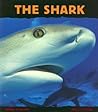 The Shark: Silent Hunter (Animal Close-Ups)