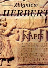 Napis