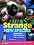 Strange New Species: Astonishing Discoveries of Life on Earth