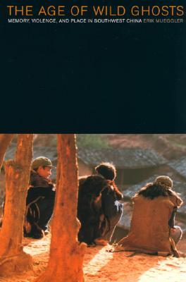The Age of Wild Ghosts: Memory, Violence, and Place in Southwest China (Paperback)