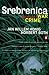 Srebrenica by Jan Willem Honig