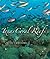 Texas Coral Reefs (Volume 13) by Jesse Cancelmo