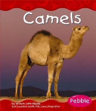 Camels (Pebble Books)