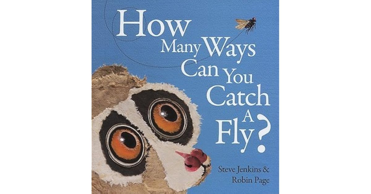 How Many Ways Can You Catch a Fly? by Steve Jenkins