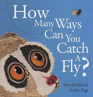 How Many Ways Can You Catch a Fly? (Hardcover)