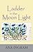 Ladder in the Moon Light by Ana Ingham