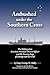 Ambushed Under the Southern Cross: The Making of an American Merchant Marine Officer and His Ensuing Saga of Courage and Survival
