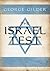 The Israel Test by George Gilder