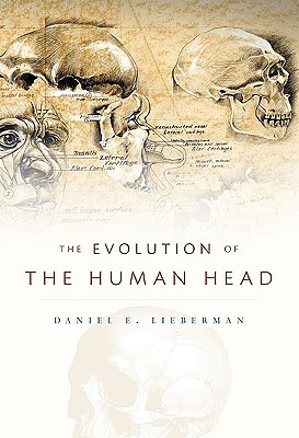 The Evolution of the Human Head (Hardcover)