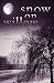 Snow on Willow: A Nisei Memoir