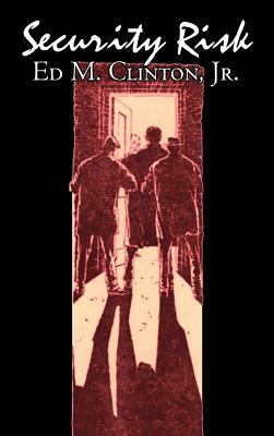 Security Risk (Hardcover)