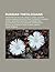 Russian Theologians: Theophan the Recluse, Nikolay Lossky, Hilarion Alfeyev, Sergei Bulgakov, Pavel Florensky, Vladimir Lossky