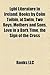 Lgbt Literature in Ireland: Books by Colm Tóibín, at Swim, Two Boys, Mothers and Sons, Love in a Dark Time, the Sign of the Cross