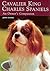 Cavalier King Charles Spaniels: An Owner's Companion