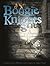Boogie Knights