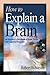 How to Explain a Brain: An Educator′s Handbook of Brain Terms and Cognitive Processes