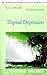 Tropical Depression (Key We...