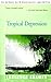 Tropical Depression by Laurence Shames