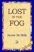 Lost in the Fog