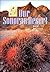 Our Sonoran Desert by Bill Broyles