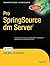 Pro SpringSource dm Server (Expert's Voice in Open Source)