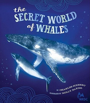 NRDC The Secret World of Whales (Hardcover)