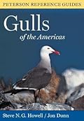 Gulls of the Americas